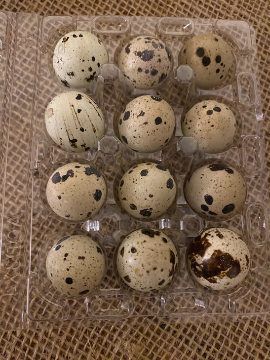 Eggs-Quail
